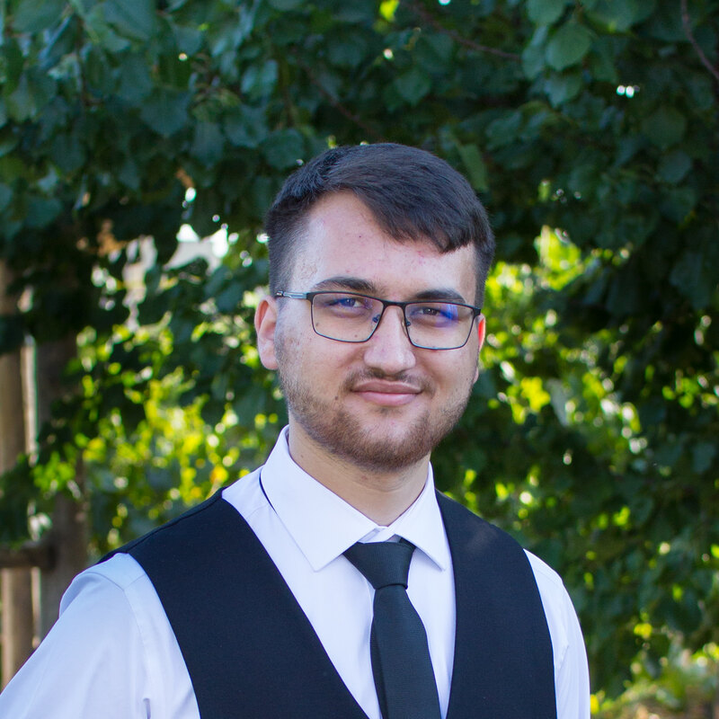 Vadim Plămădeală